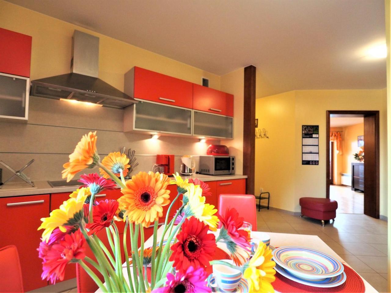 Apartament Widokowy Maki Apartment Zakopane Exterior photo